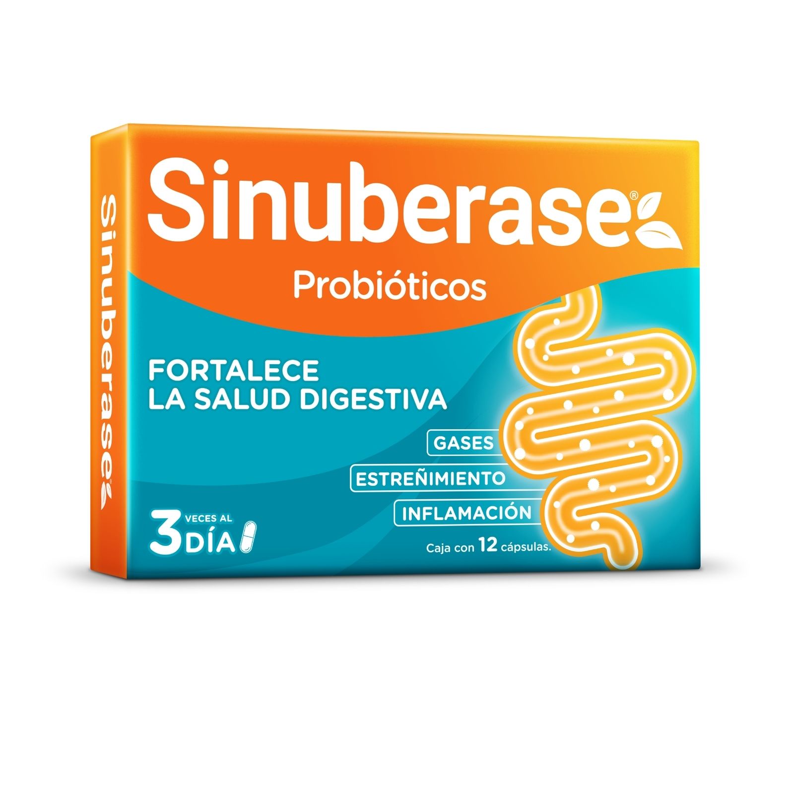 Sinuberase Probióticos 2 billones de UFC 12 Cápsulas. Fortalece la Salud Digestiva. Auxiliar en el Tratamiento de Inflamación, Gases y Estreñimiento. Restaura el Equilibrio de la Flora Intestinal