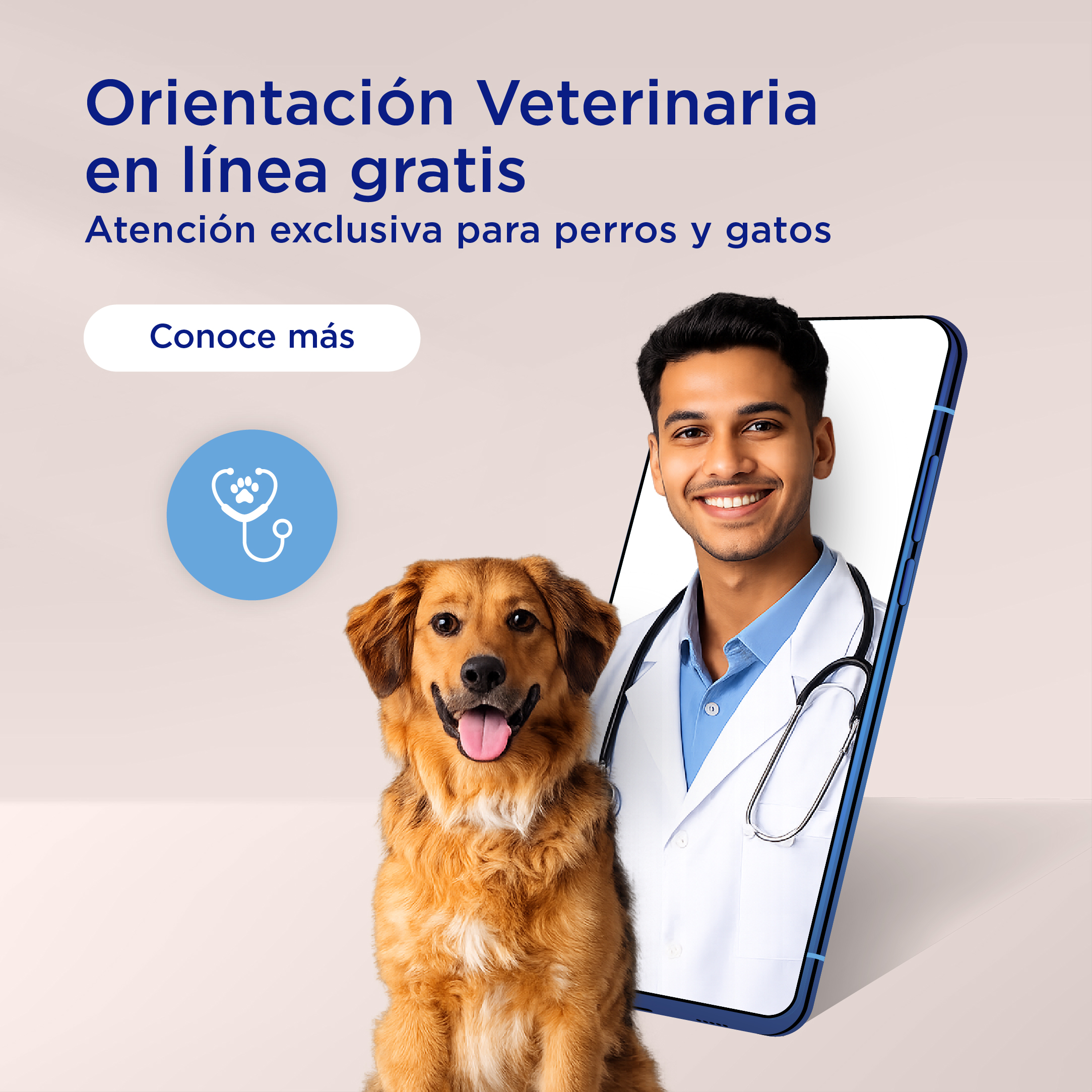 Imagen Medico Pediatra Farmacia del Ahorro